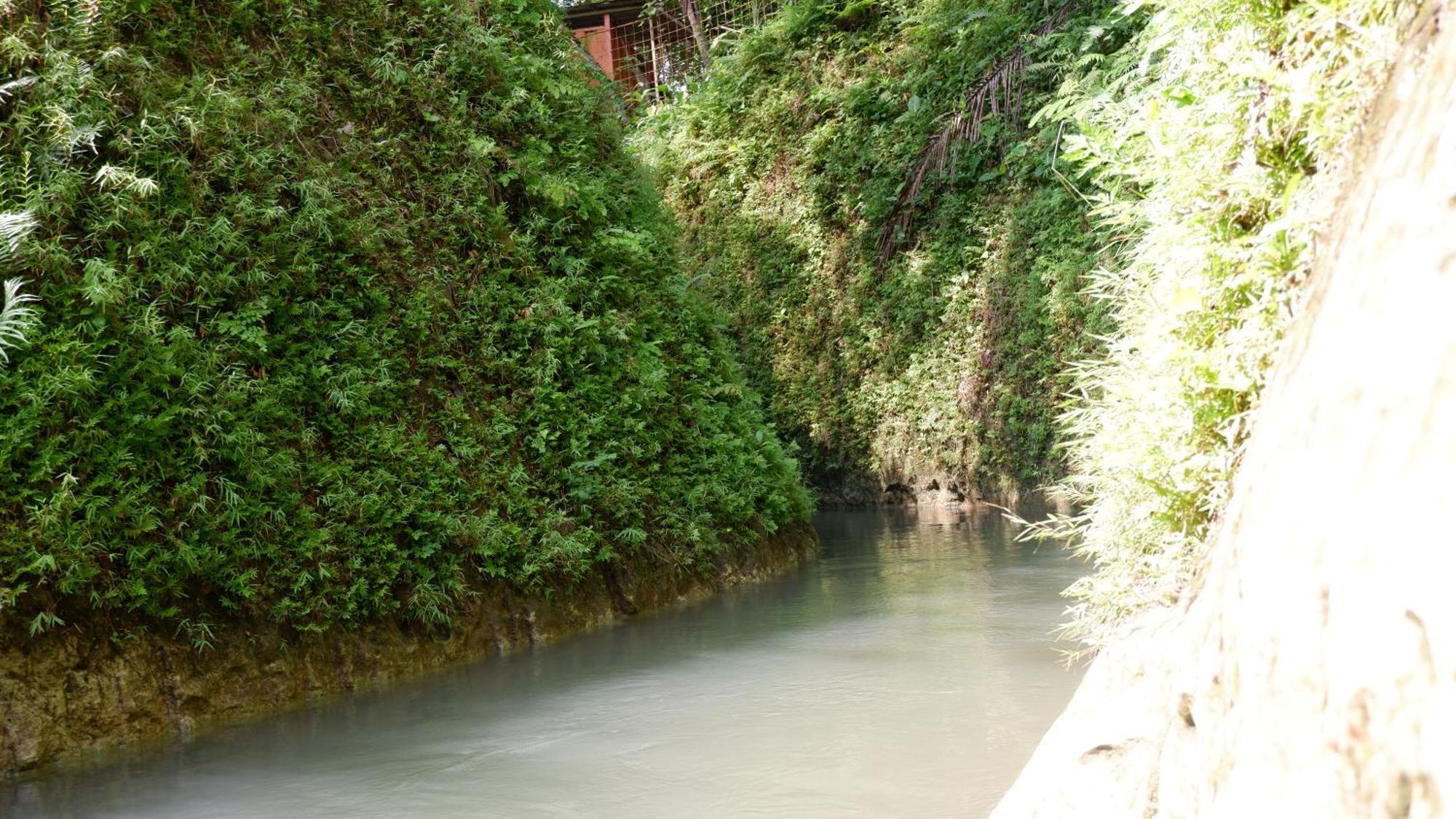 Hau Eco Lodges Citumang Pangandaran Exterior photo