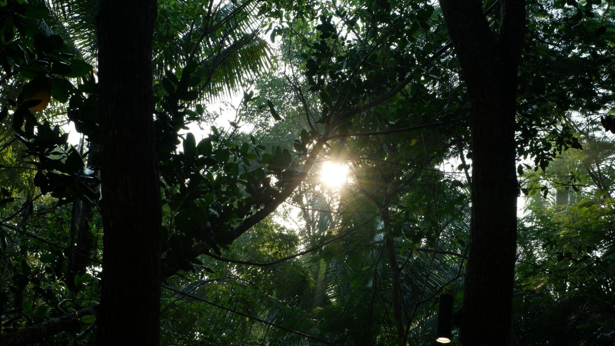 Hau Eco Lodges Citumang Pangandaran Exterior photo